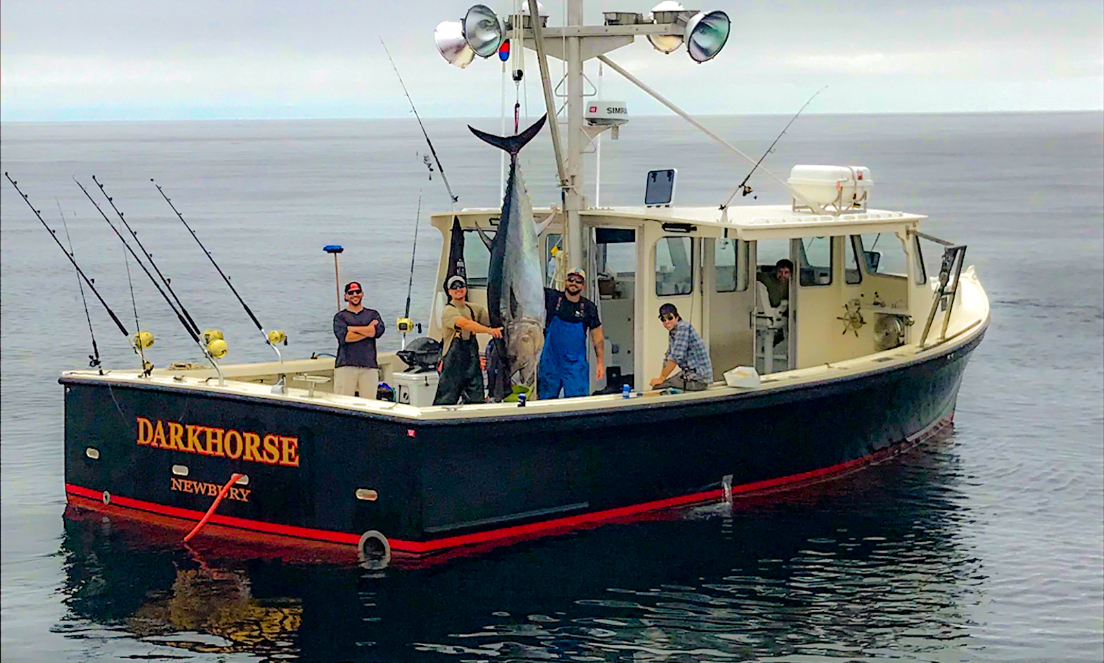 Darkhorse Fishing Tuna Short