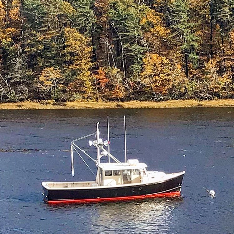 Haddock opens April 15th! Call 603-702-1570 to book a trip.