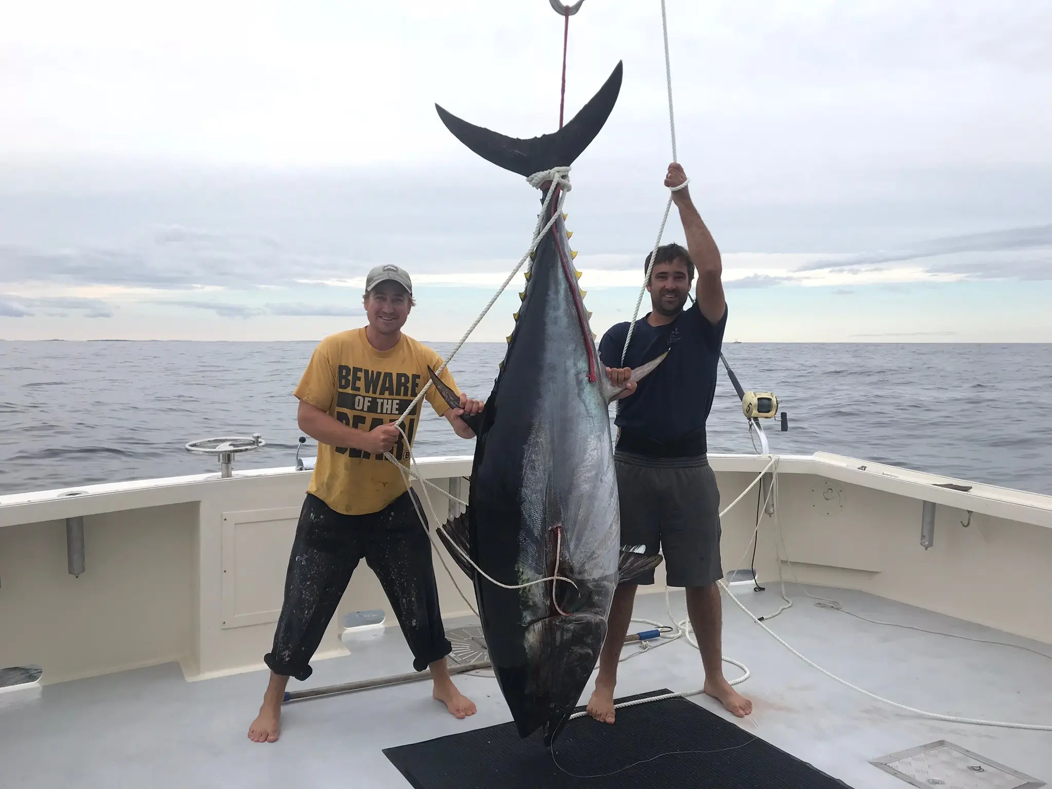 Tuna Brothers